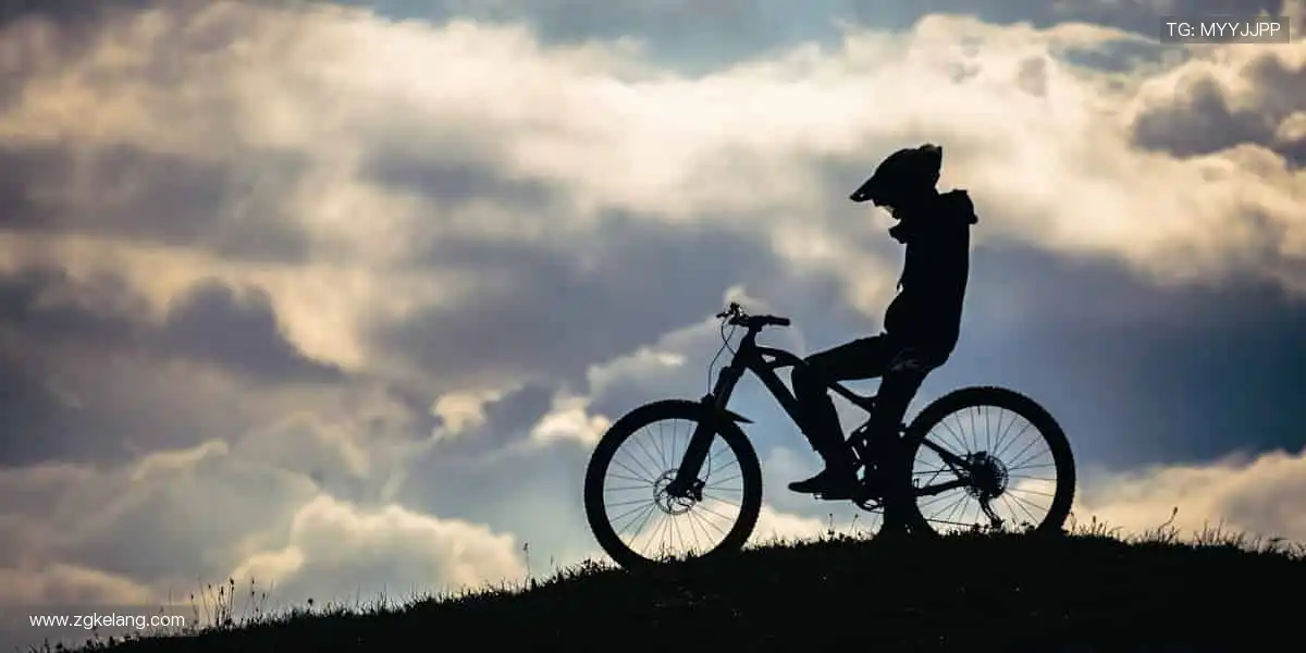 畅享全球赛事,指尖掌控精彩!📺